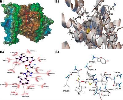 Synthesis, 3D-QSAR and Molecular Docking Study of Nopol-Based 1,2,4-Triazole-Thioether Compounds as Potential Antifungal Agents